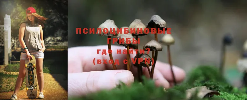 MEGA зеркало  Новая Ляля  Псилоцибиновые грибы Psilocybe 